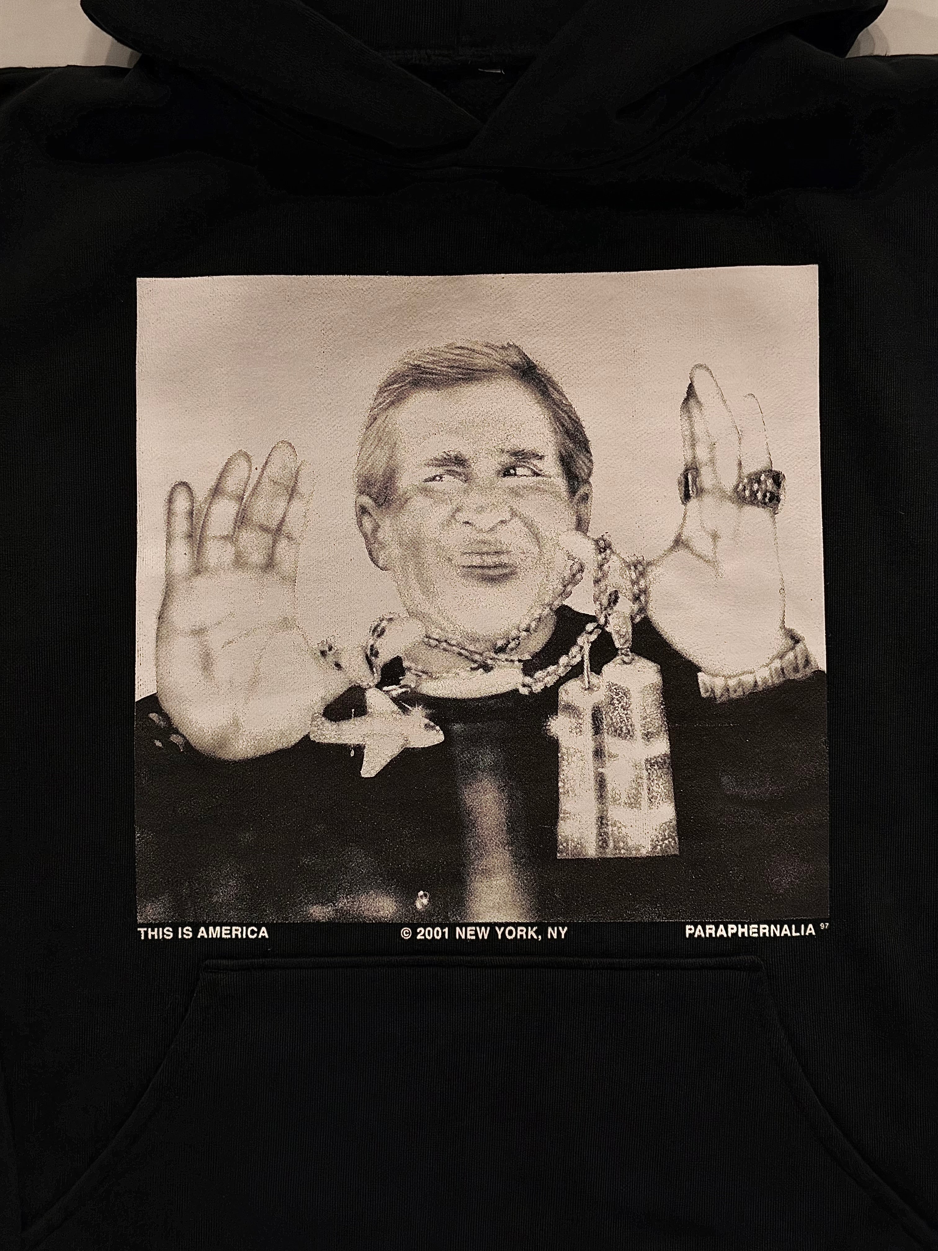 AMERICAN DREAM [HOODIE]