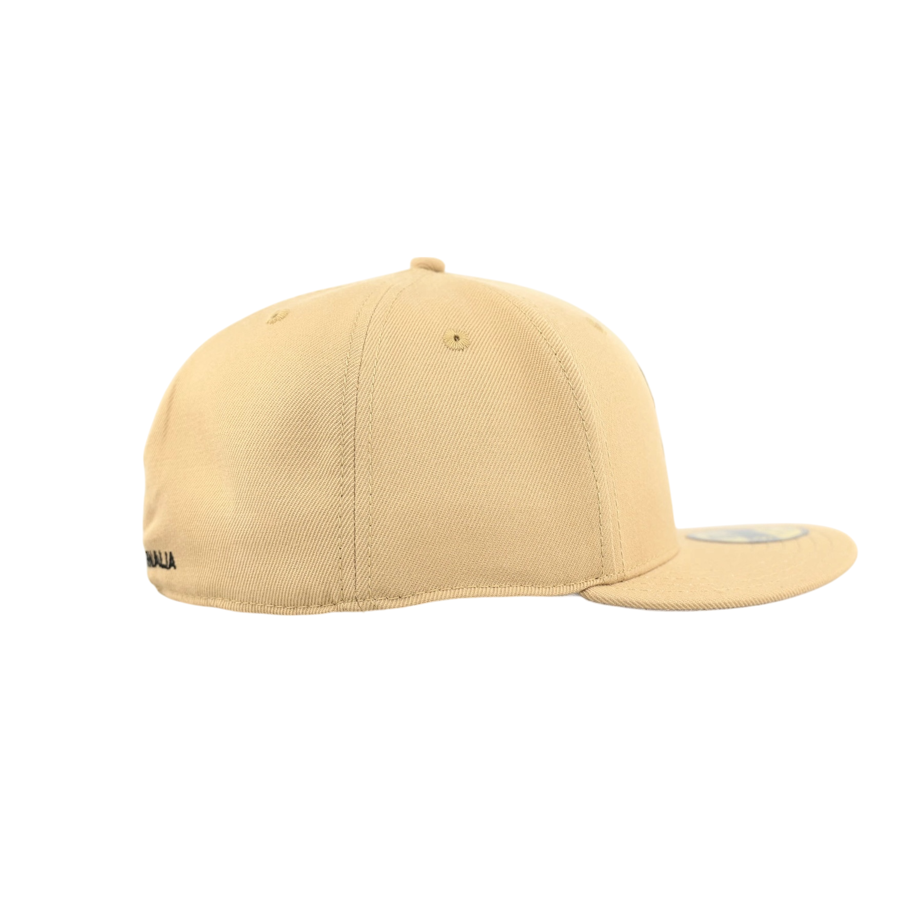 ℗ A/W 25 [TAN FITTED HAT]