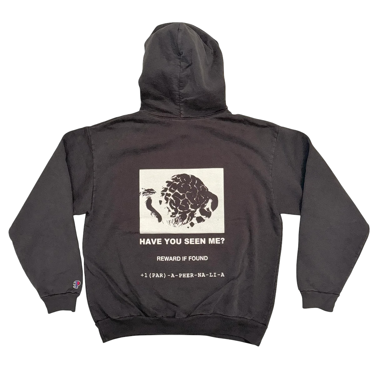 LOST MY MIND [HOODIE]